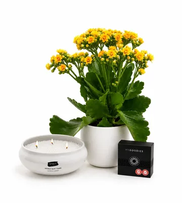 מארז Pure Bloom